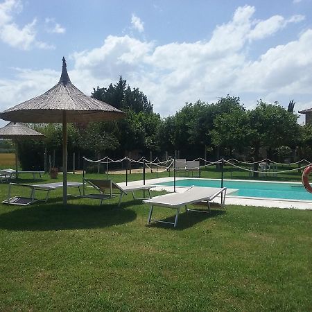 Agriturismo Dolce Verde Castiglione del Lago Eksteriør bilde