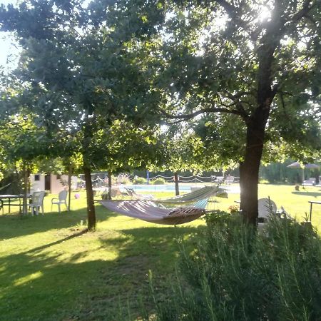Agriturismo Dolce Verde Castiglione del Lago Eksteriør bilde