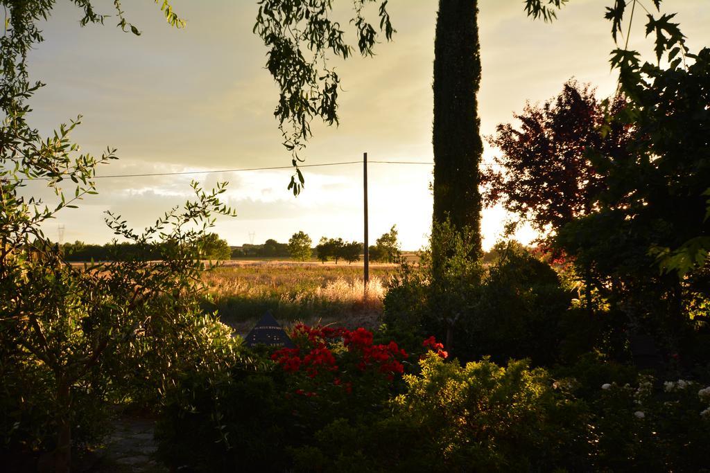 Agriturismo Dolce Verde Castiglione del Lago Eksteriør bilde