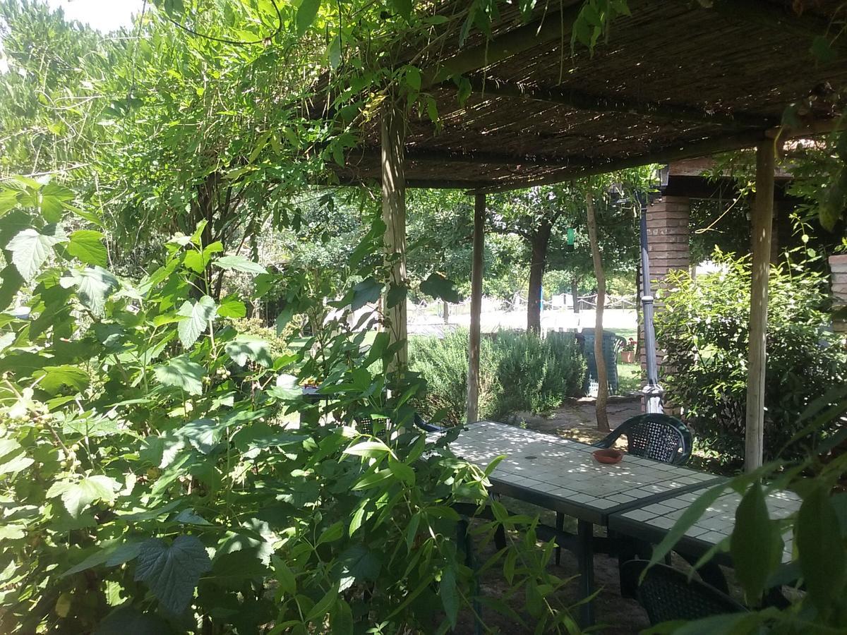 Agriturismo Dolce Verde Castiglione del Lago Eksteriør bilde